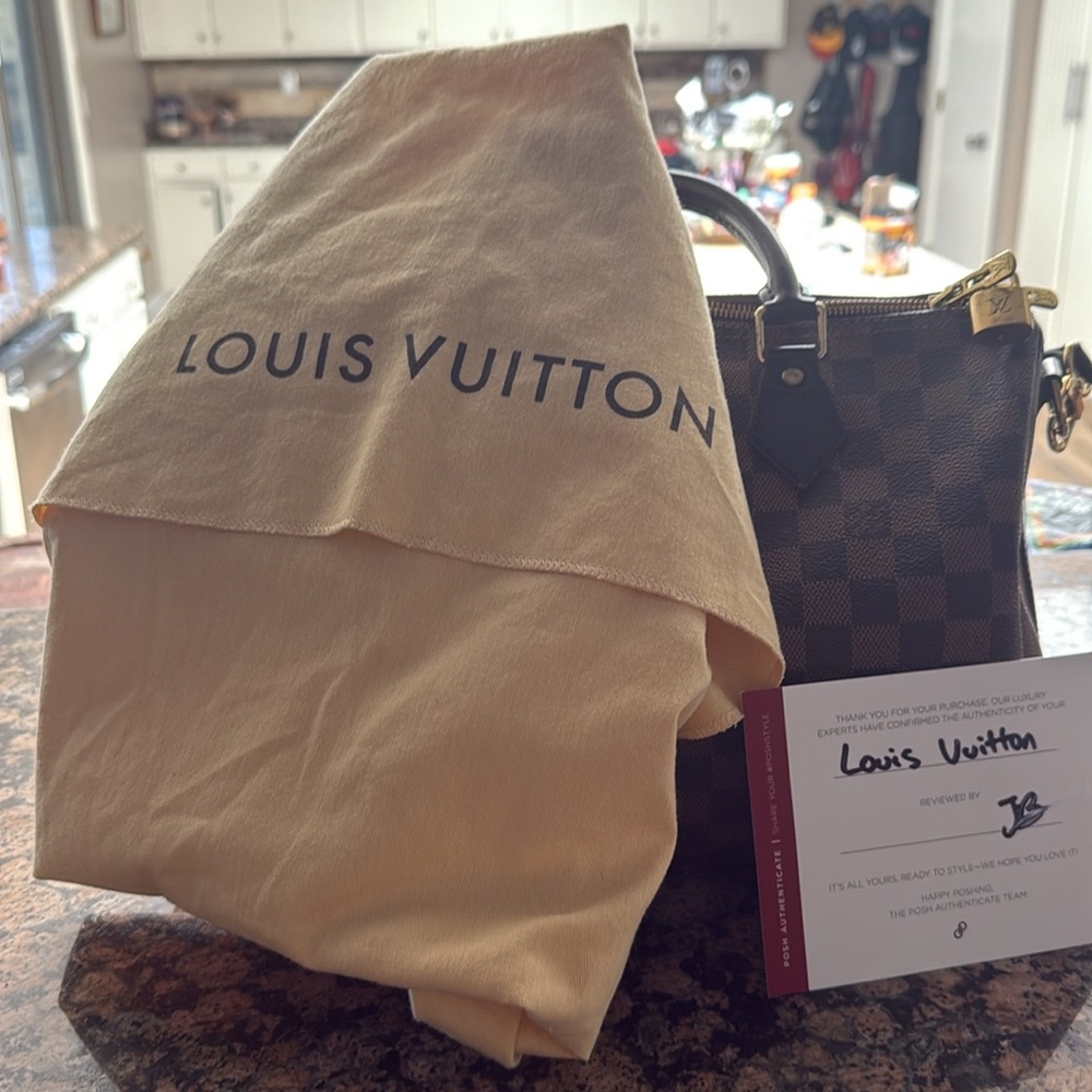 Louis Vuitton Damier Ebene Speedy